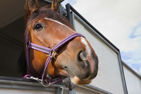 TI_Farming Campaign_Large_07