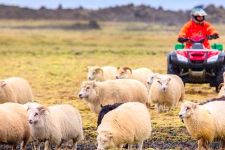 TI_Farming Campaign_Small_09