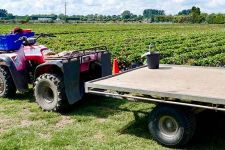 TI_Farming Campaign_Small_10